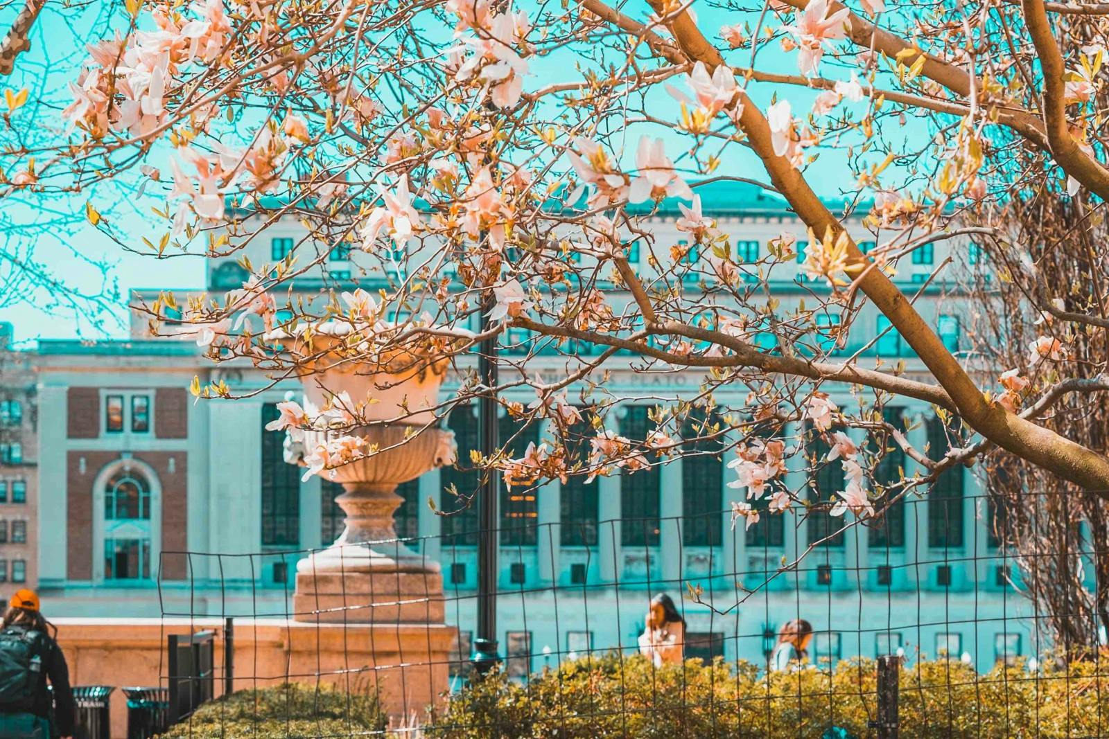 Columbia University